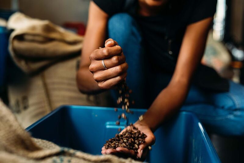 Person sorting coffee beans into a blue container